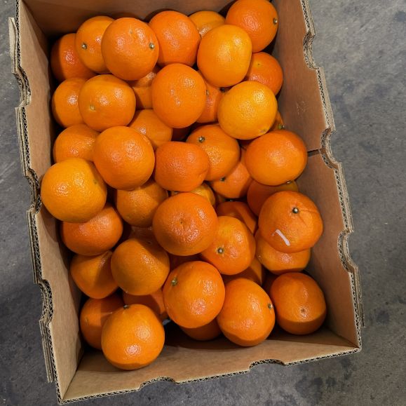 SPECIAL Mandarins Daisy 1kg Net