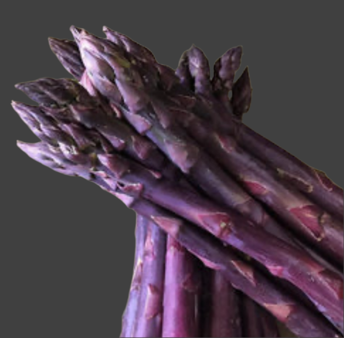 Purple Asparagus Edition (Bunch)