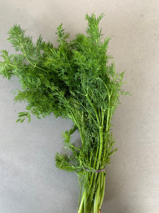 Organic Dill (Bunch)