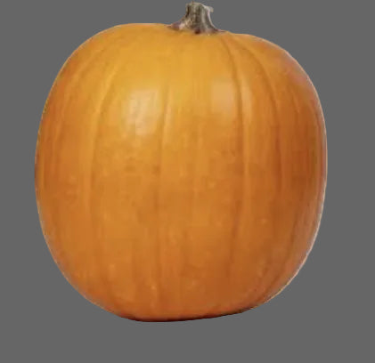 Halloween Pumpkin 3-4kg