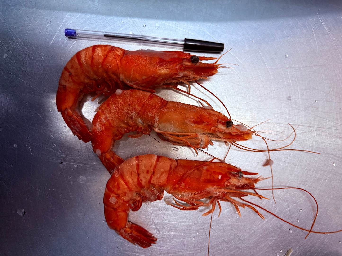 SPECIAL Jumbo Cooked Black Tiger Prawns 1kg