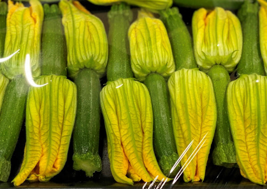 Zucchini Flower Tray