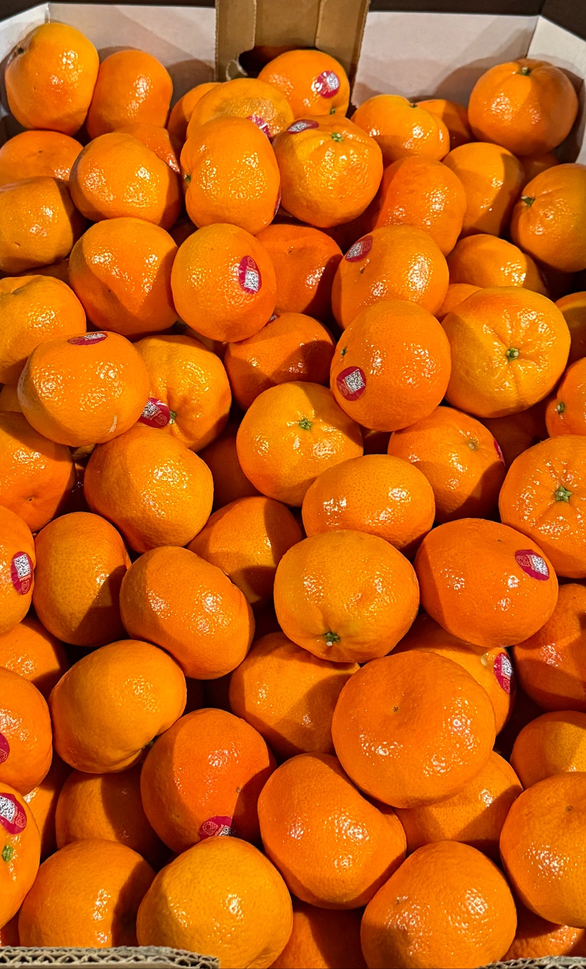 Afourer Mandarins 10kg(very sweet)