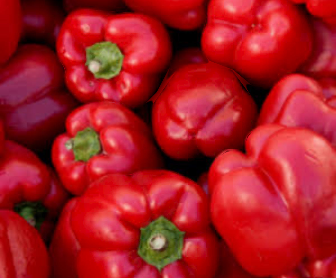 Organic Red Capsicum Each