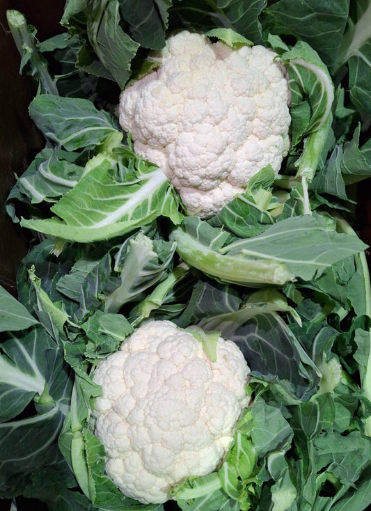 Organic Cauliflower Whole