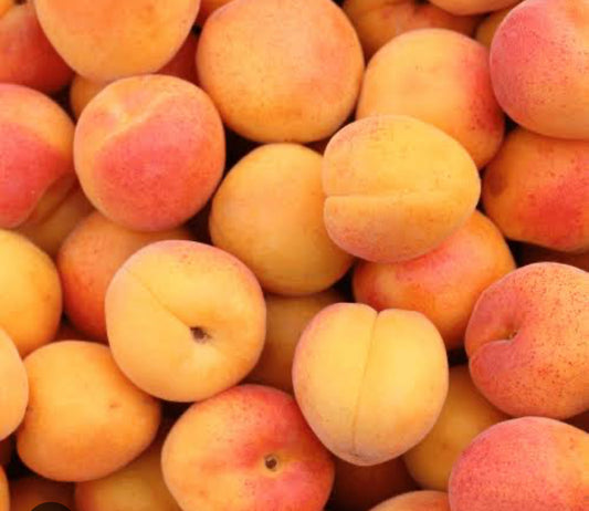 Apricot 5 kg Box