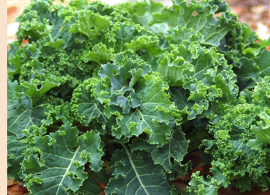 Organic kale (Each)