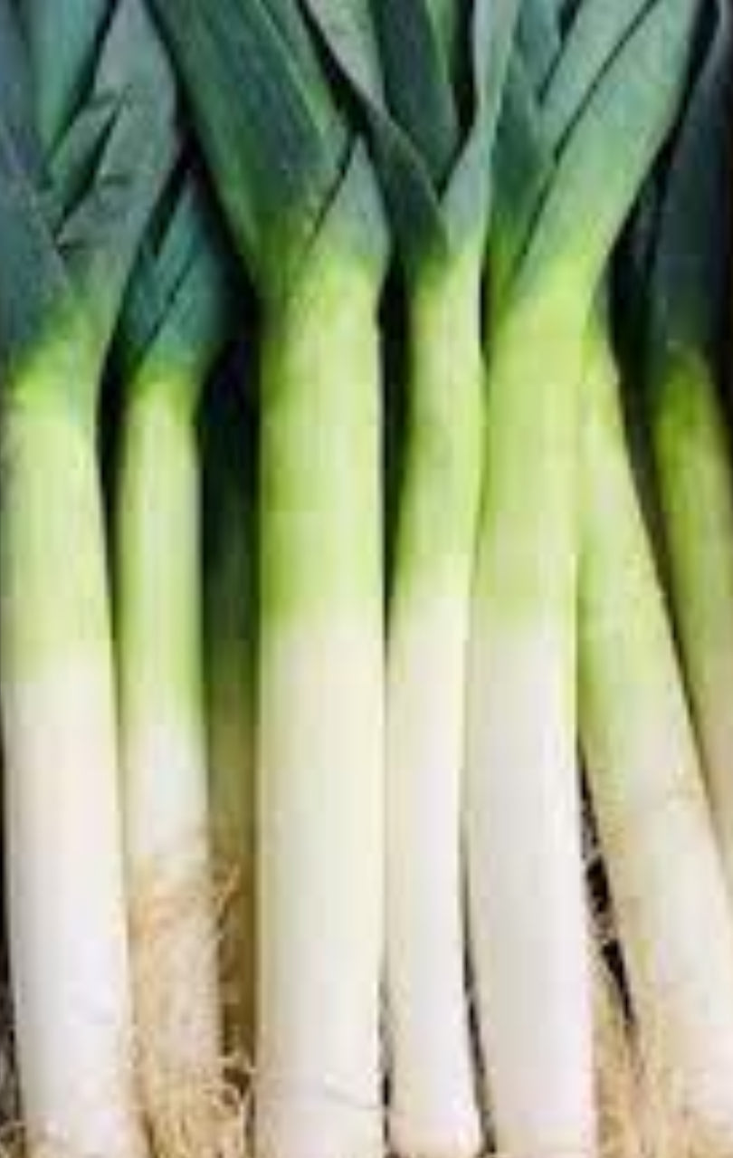 Organic Leek Each