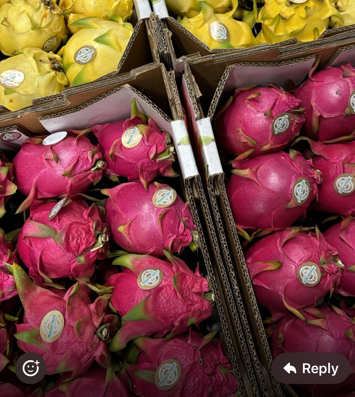 Dragon Fruit (Each)