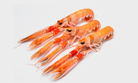 Scampi (800g per box approx 7-9 pieces) Jumbo size