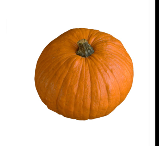 Halloween Pumpkin Each (6-7)kg