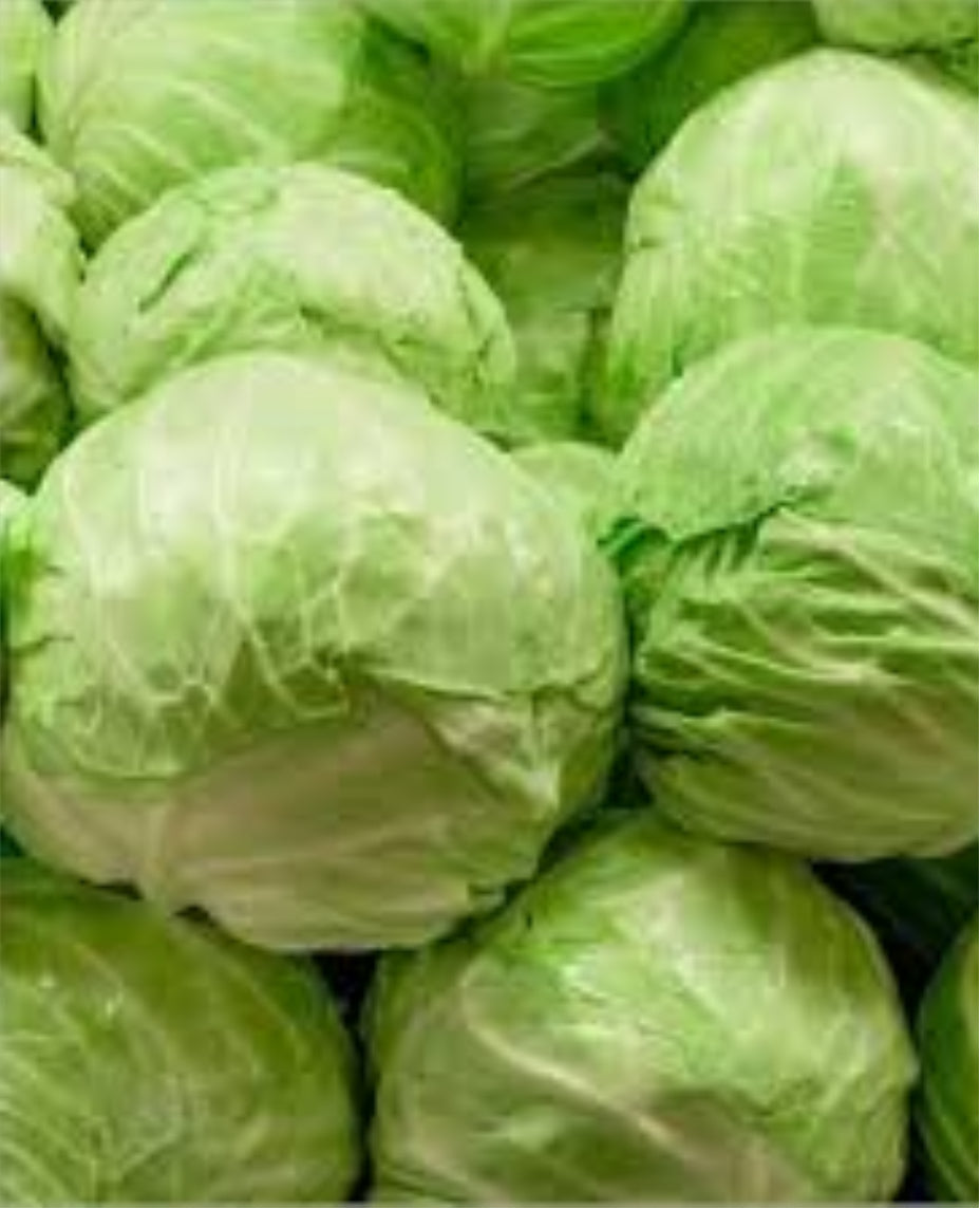 Organic Cabbage Whole 9.99Each