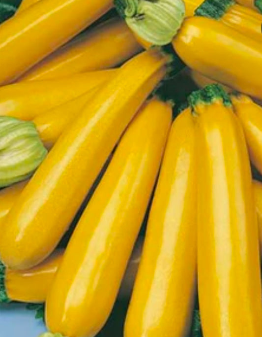 Special Yellow Zucchini Each