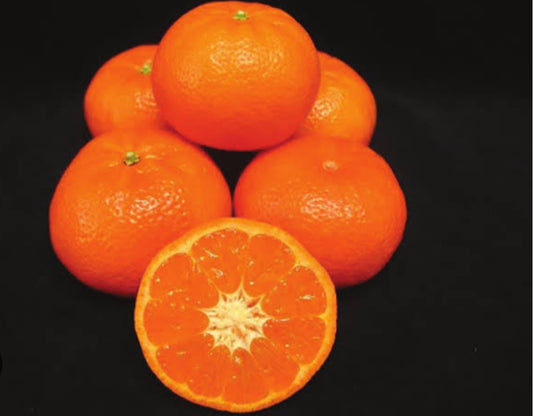 Tangold Mandarin 1kg