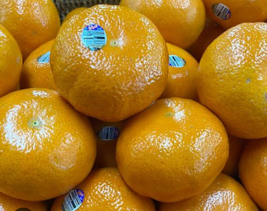 Weekend Special-Afourer Mandarins 10kg Box