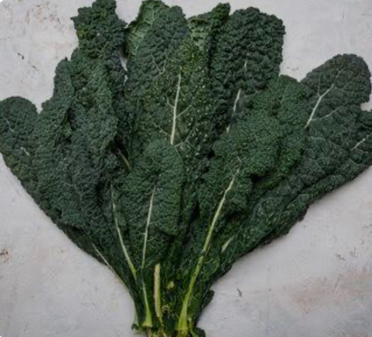 Certified Organic Tuscan Black Kale Bunch