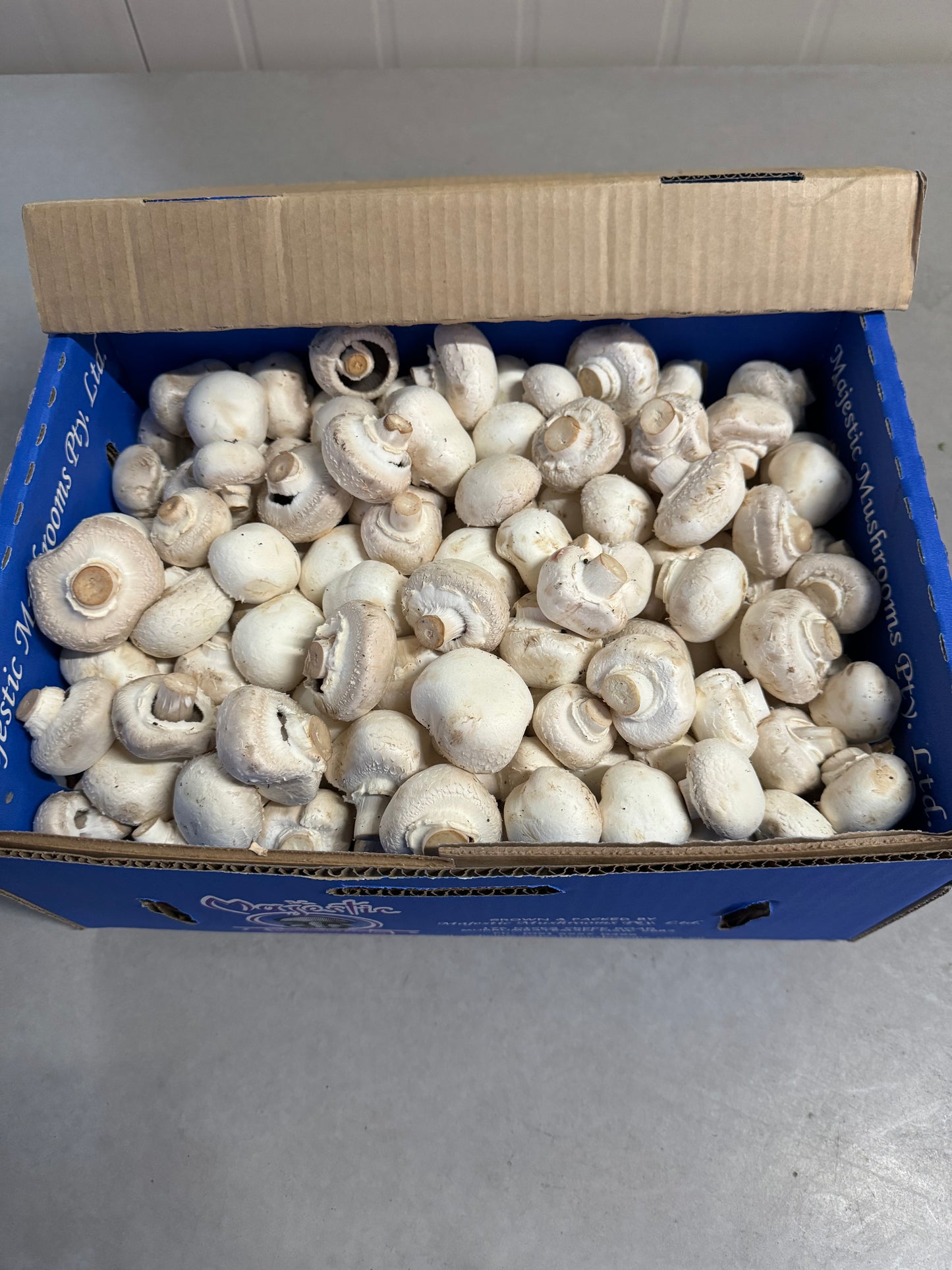 Majestic Buttons Mushrooms 4kg Box