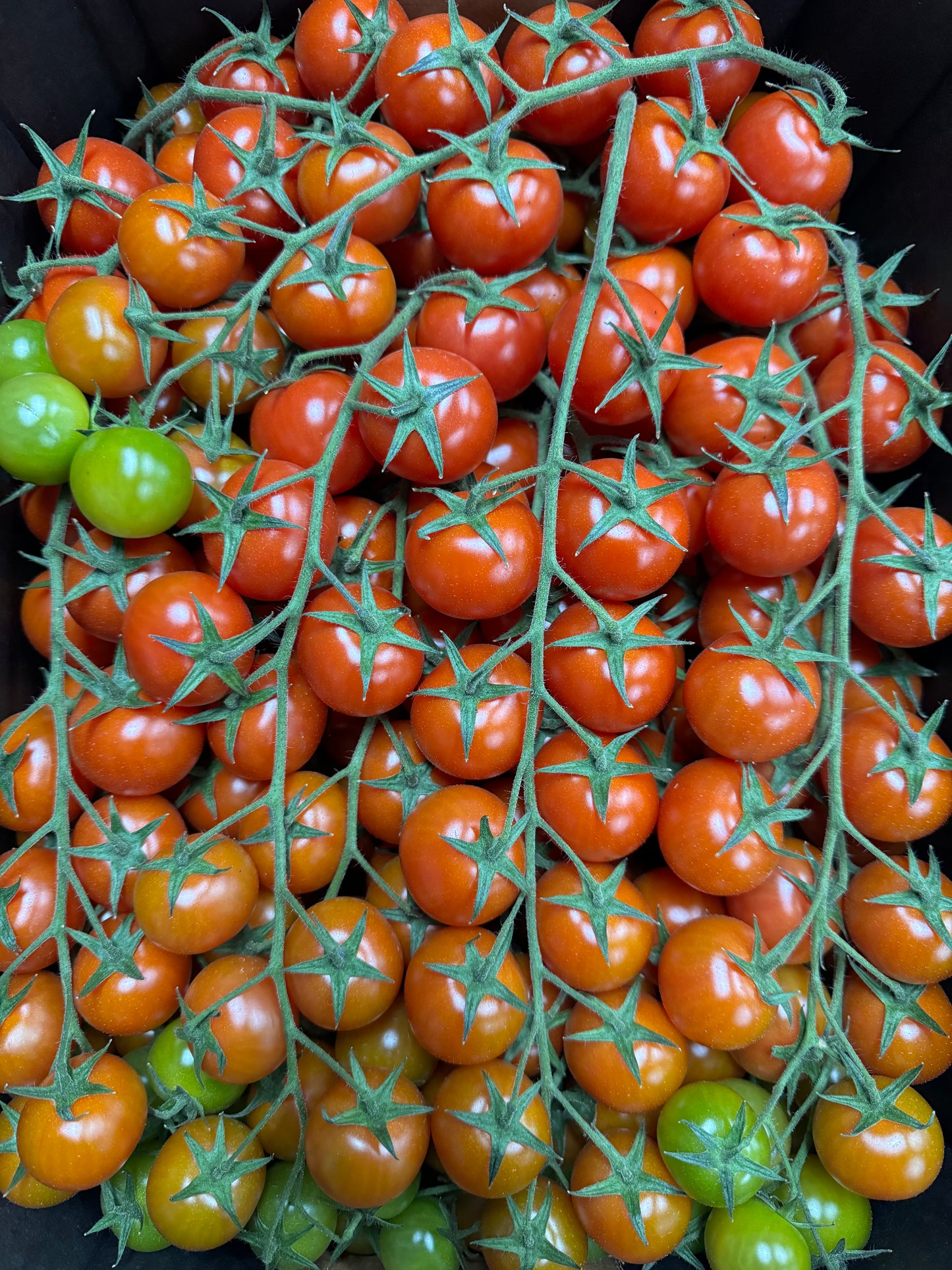 Cherry Truss Tomatoes 500g