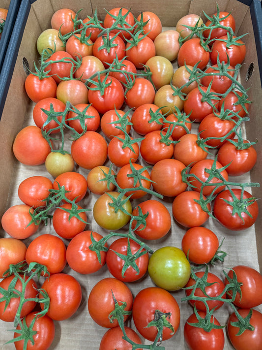 Special-Tomato Truss 5kg Tray