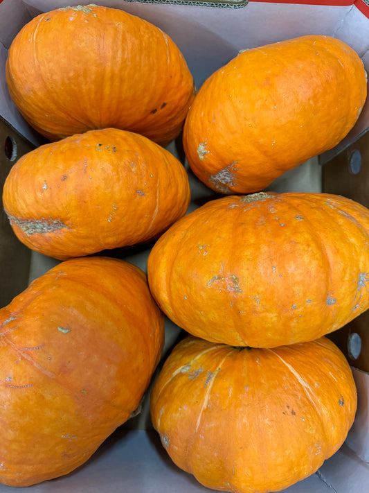 Golden Nugget Pumpkin     (approx 800g)