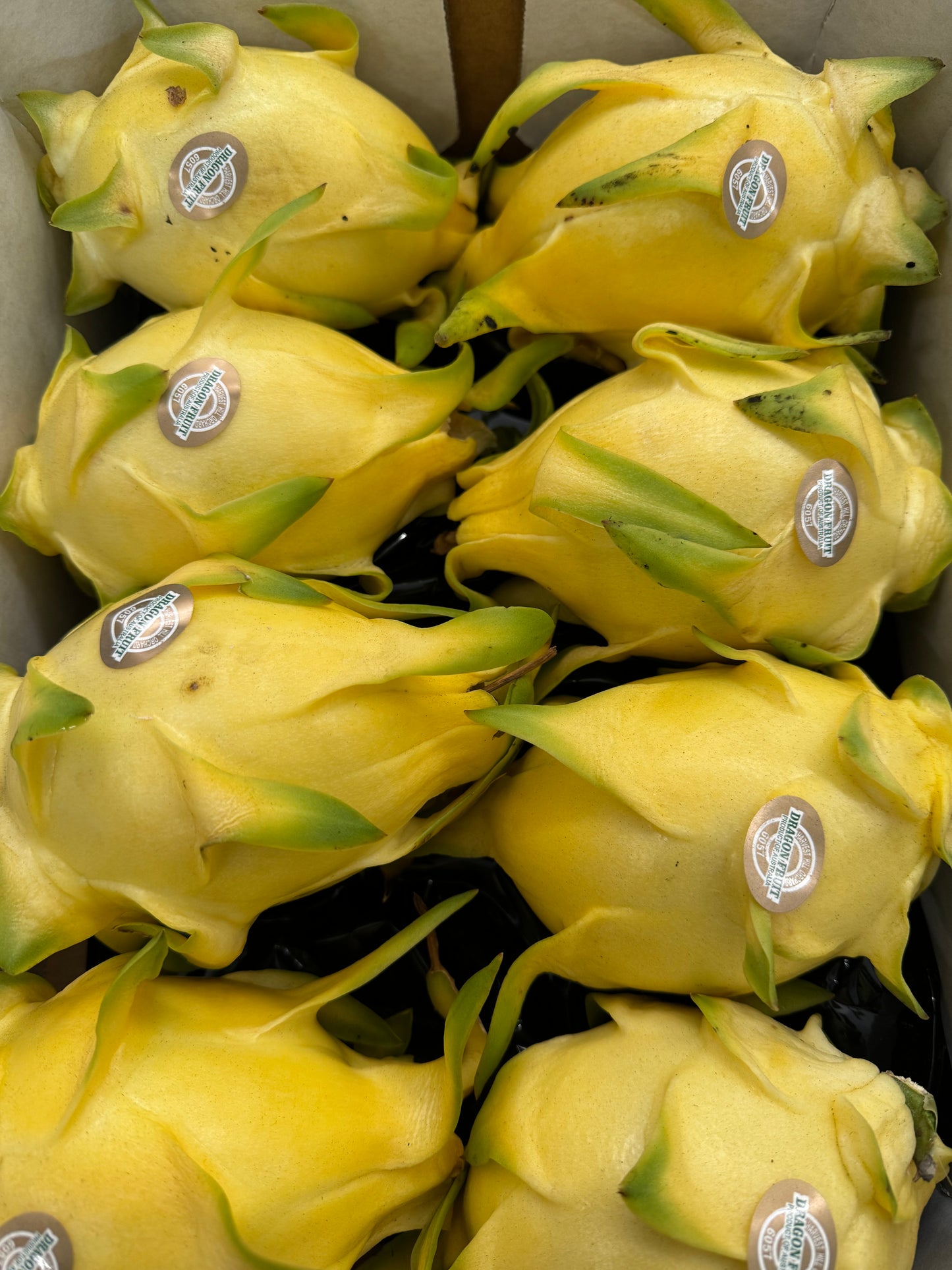 Harvest Hill Yellow Dragon Fruit