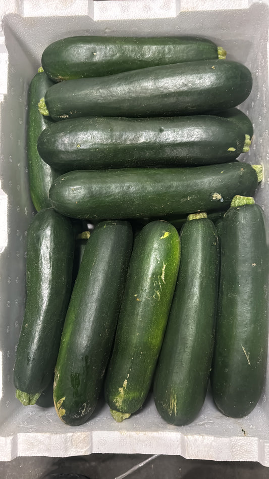 Special Zucchini 10kg Box