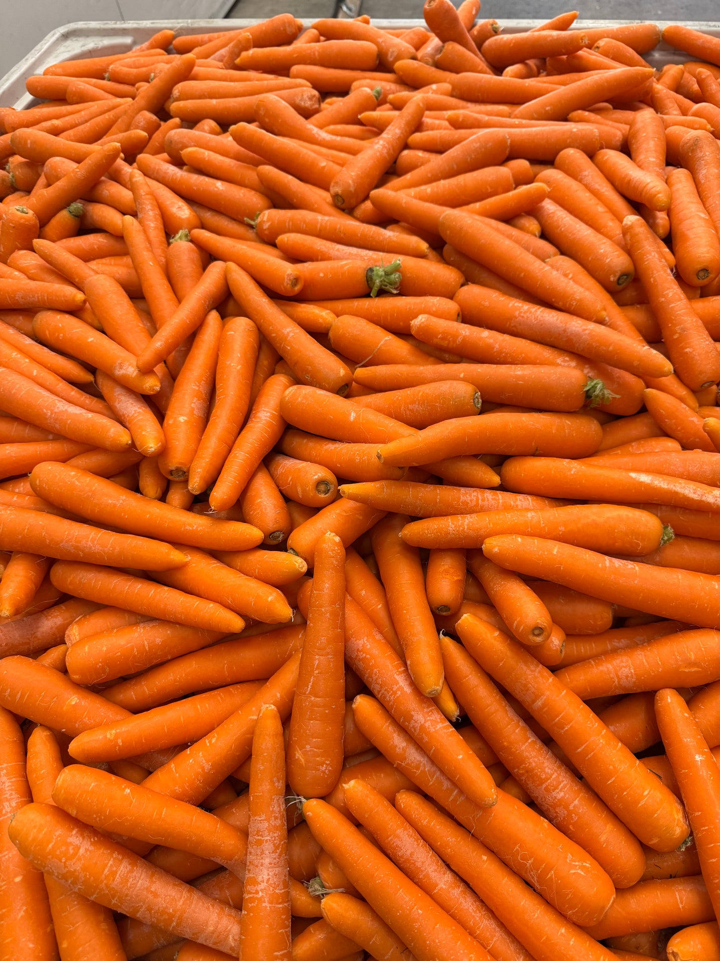 Fresh Juicing Carrots 6 kg