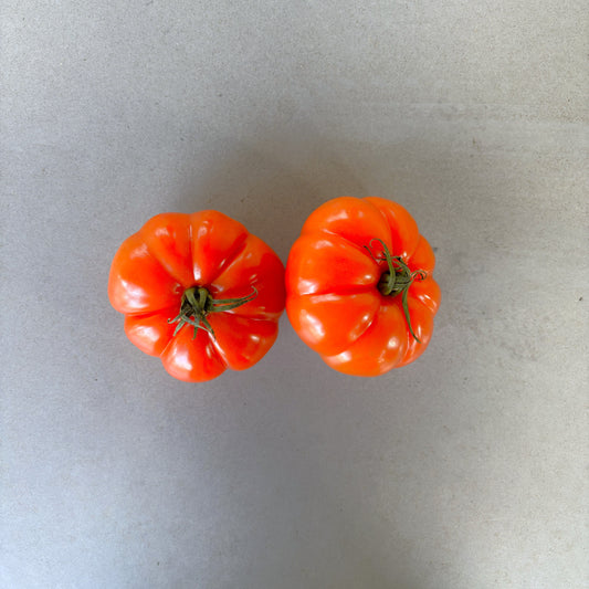 Tomato Italian Flat