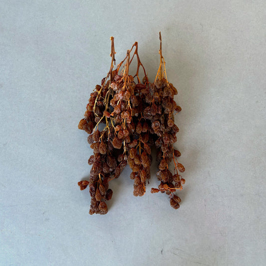 Dried Sultana Clusters 150g punnet