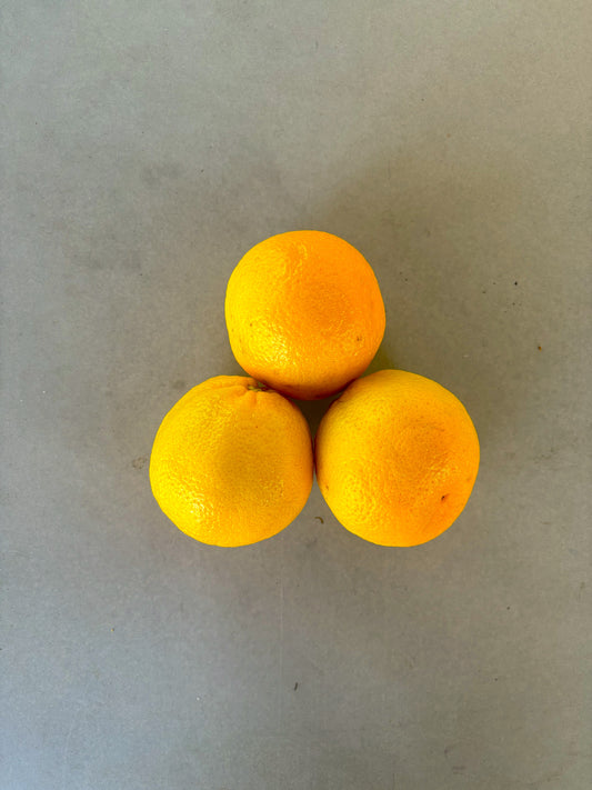 Organic Orange (Each)