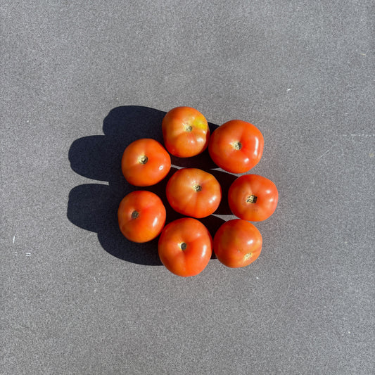 UGLY FRUIT Tomatoes pre-packed 1kg