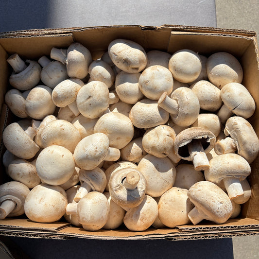 UGLY FRUIT Mushrooms Pre-packed 500g