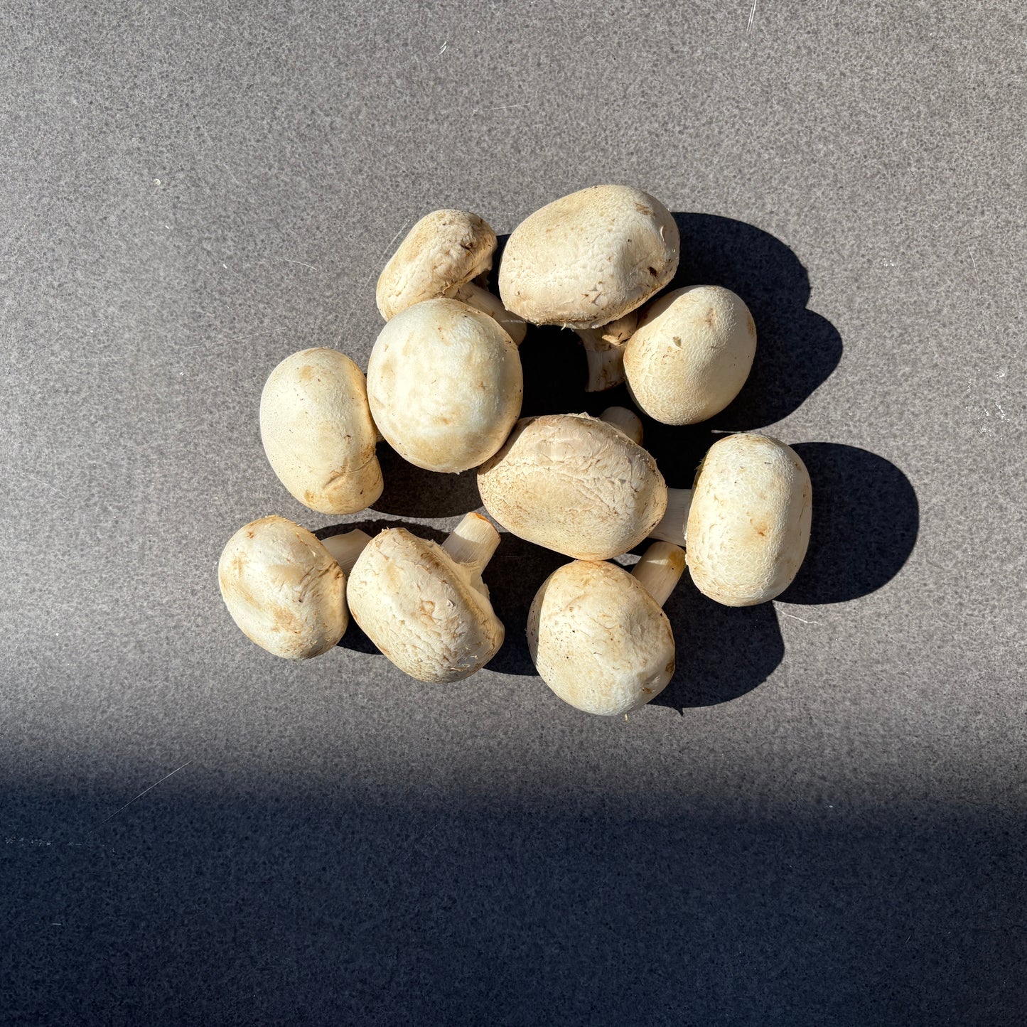 UGLY FRUIT Mushrooms Pre-packed 500g