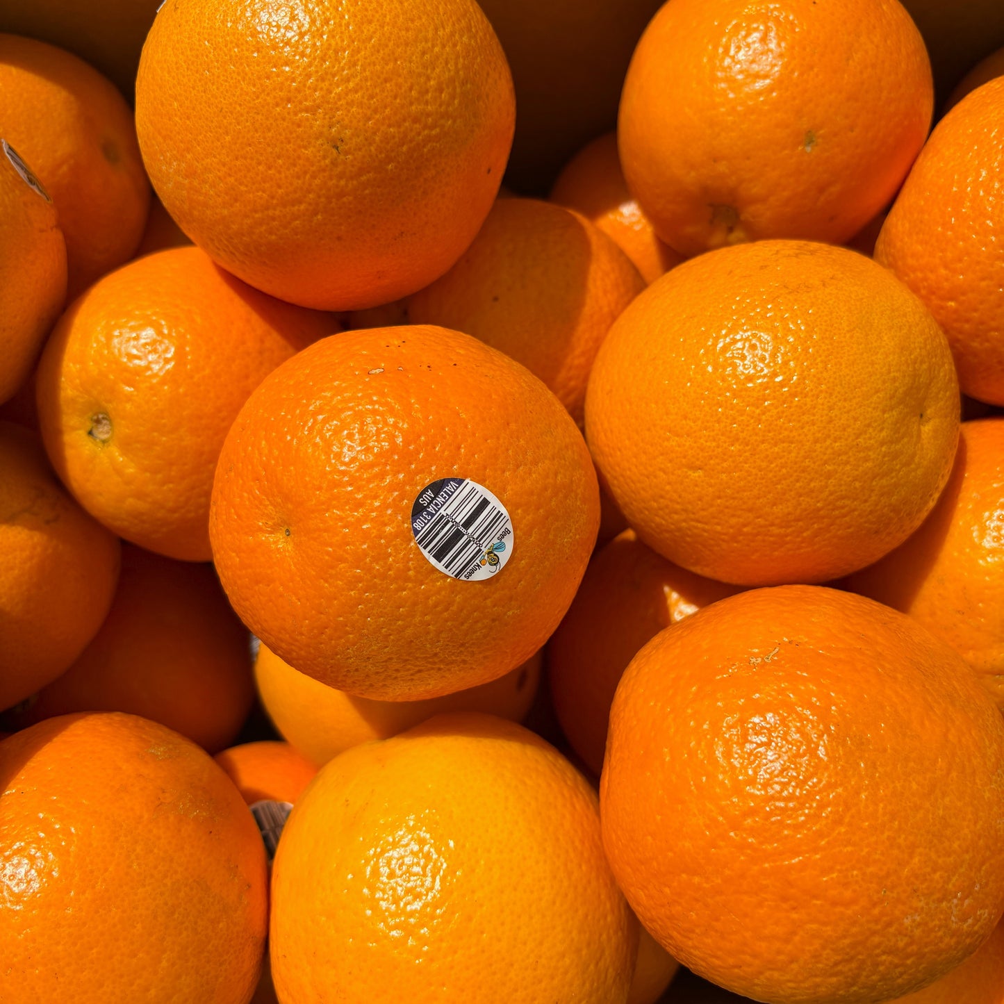 UGLY FRUIT Velencia Oranges 1kg