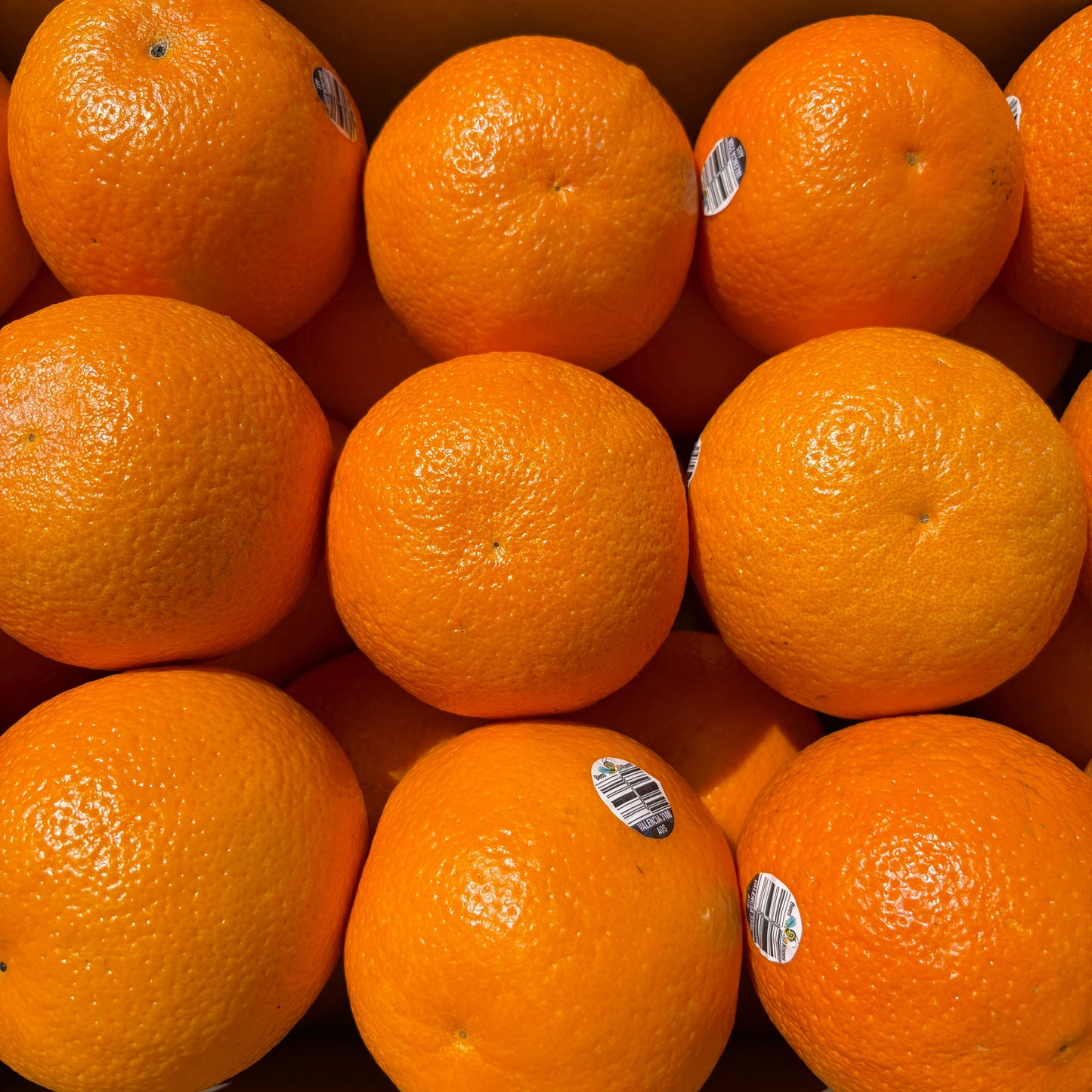 Valencia Oranges Each