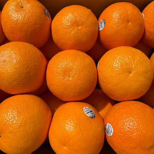 Valencia Oranges Each