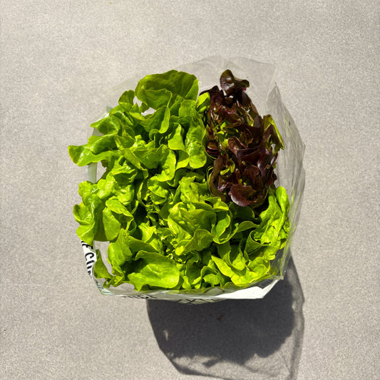 Lettuce Combo (Each)