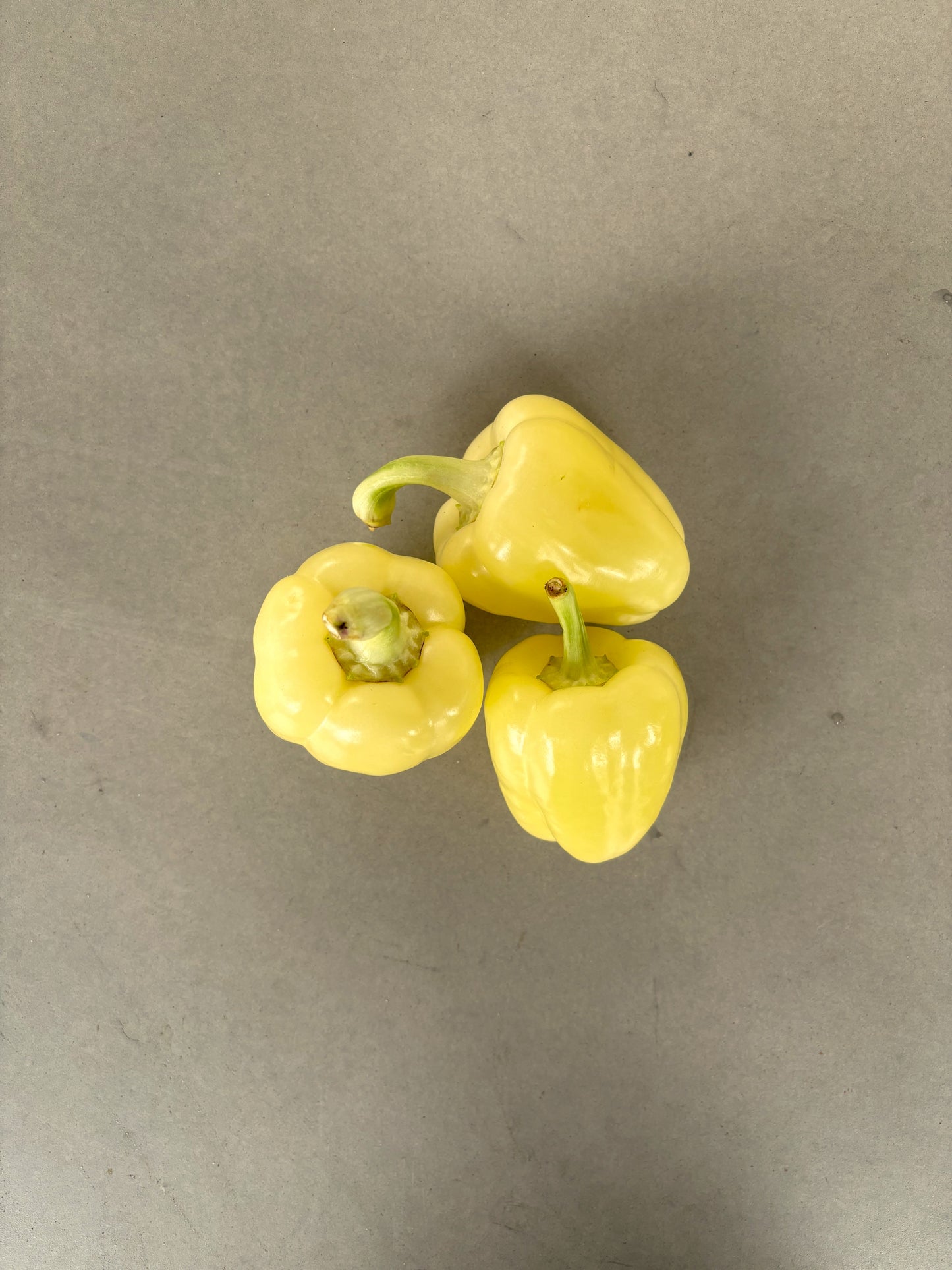 Capsicum Yellow (Each)