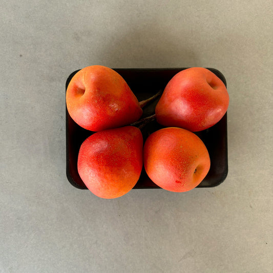 SPECIAL Pear Piqa Boo Tray (4 pack)