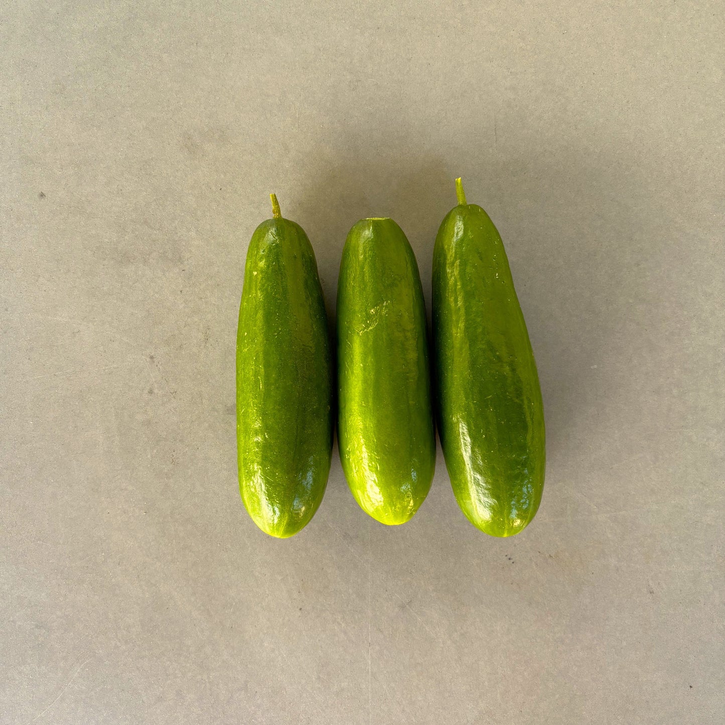 Organic Cucumber (Each)