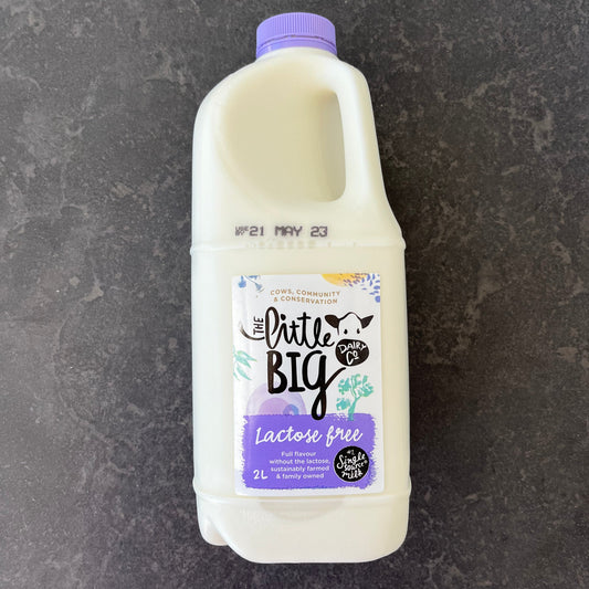 Little Big Dairy Lactose Free Milk 2L