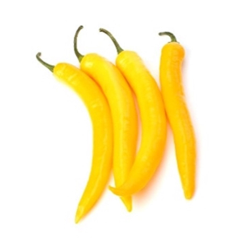 Chilli Bullhorn Yellow (Each)