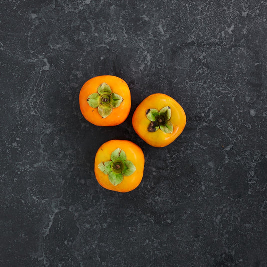 Persimmon XL Large (Each)