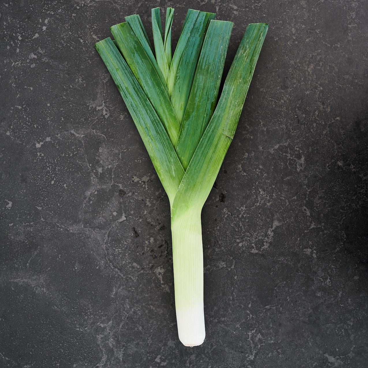 Leeks (Each)