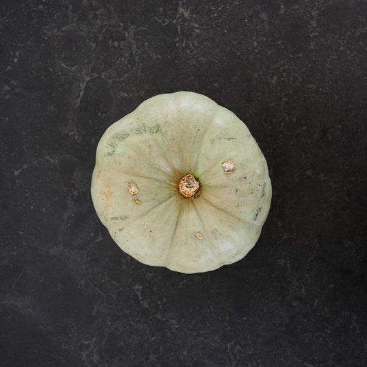 Pumpkin Grey Whole (Each)