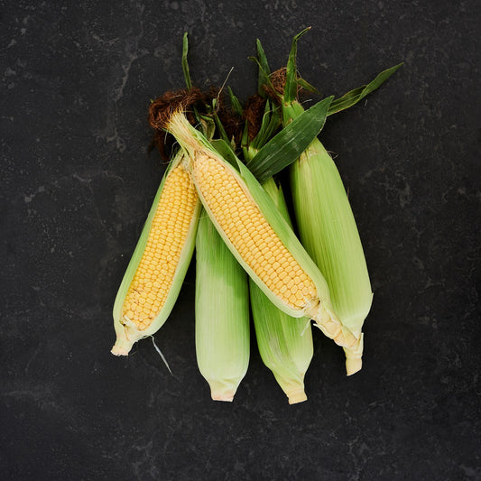 SPECIAL Organic Corn Cob 3pk