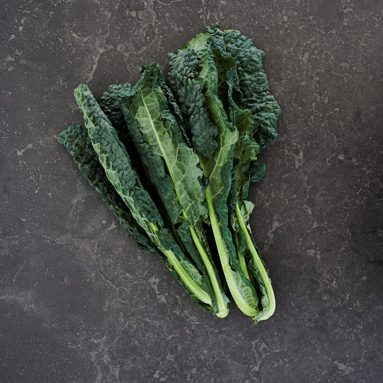 Tuscan Kale (Bunch)