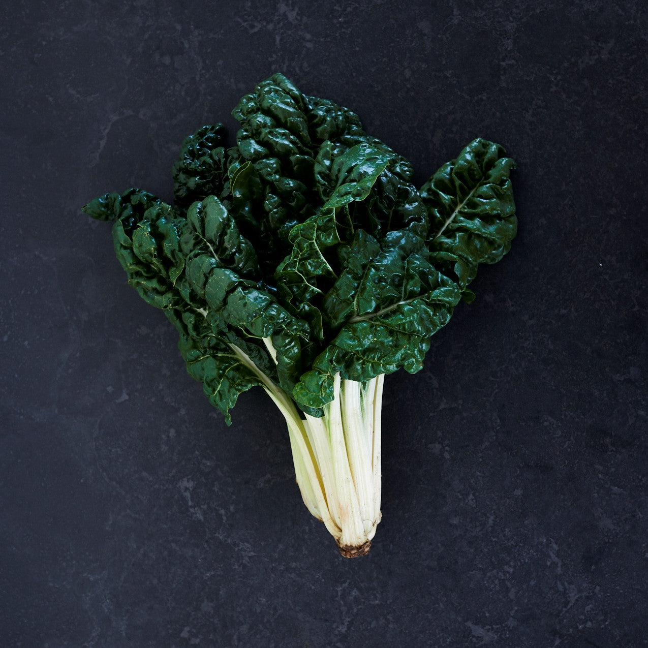 SPECIAL Silverbeet (Bunch) – Alpha Fresh