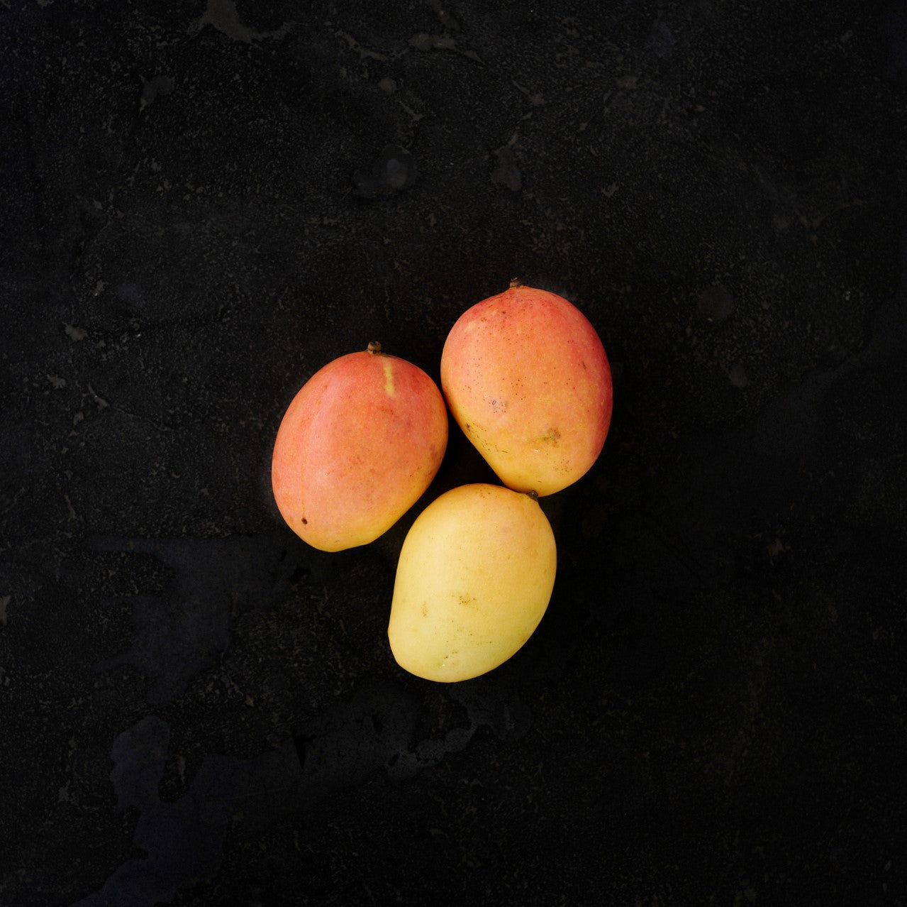 SPECIAL Mango Calypso (Each)