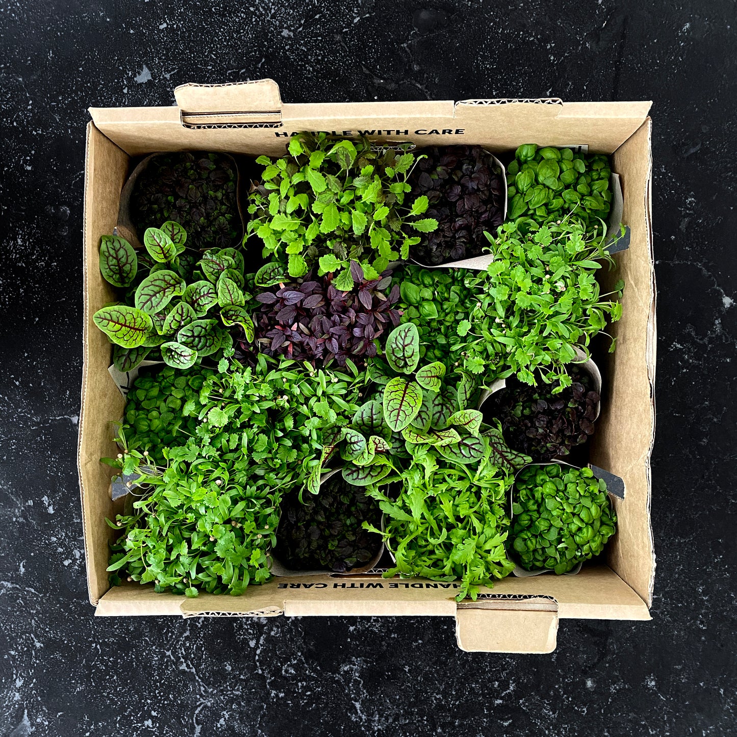 Micro Herbs Mixed Box